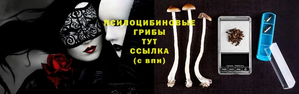 тгк Балахна