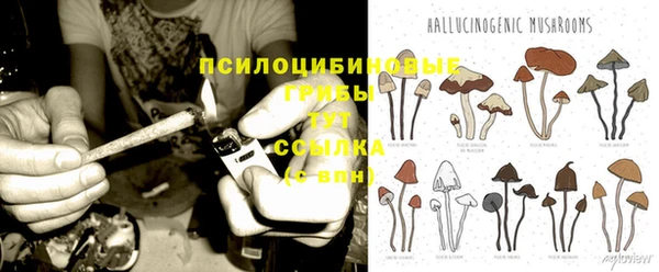 тгк Балахна