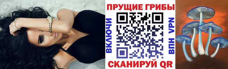 Псилоцибиновые грибы прущие грибы  Купить закладки  Дмитров 